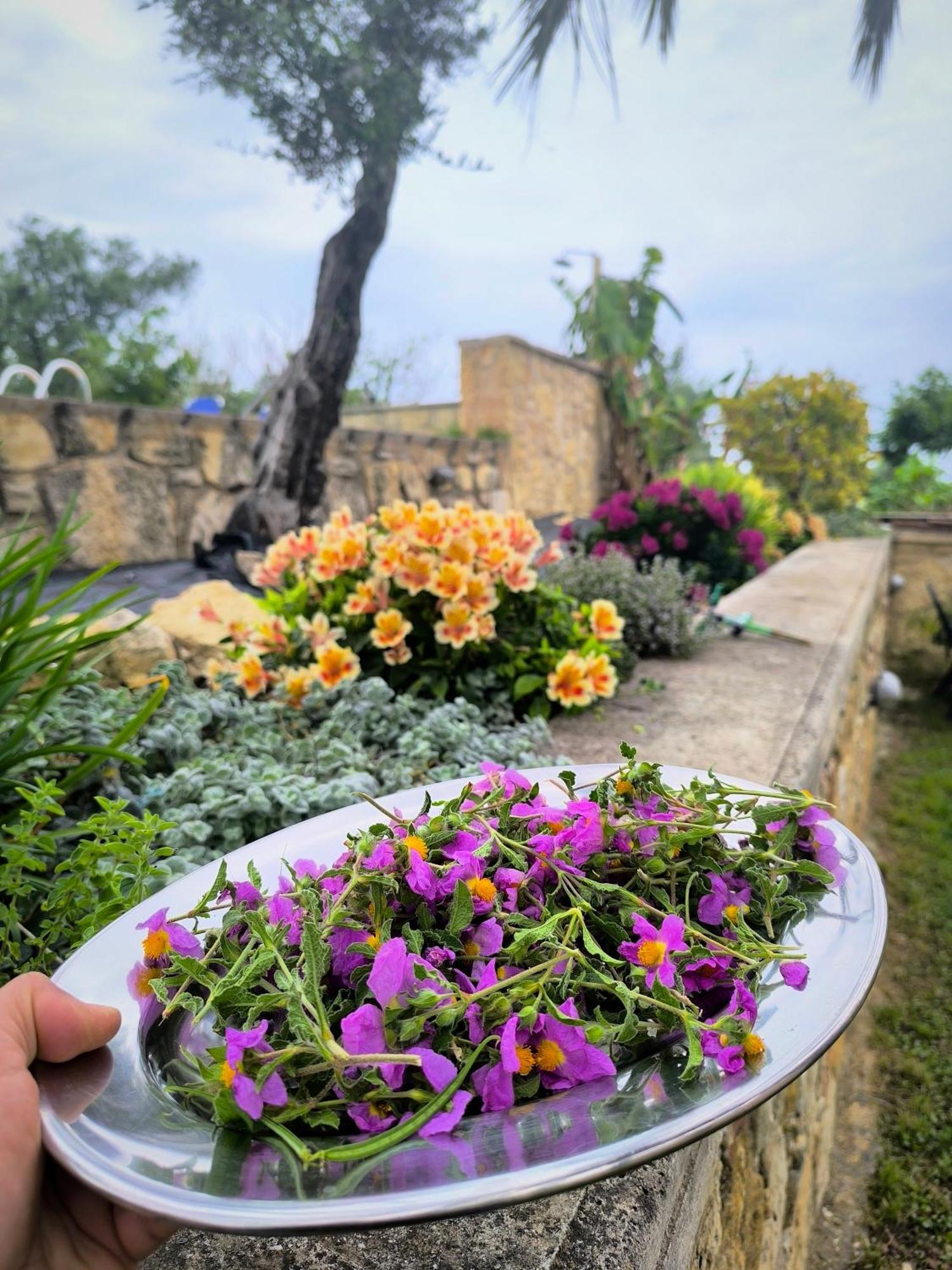 Villa Koulouridi ダラトソ エクステリア 写真